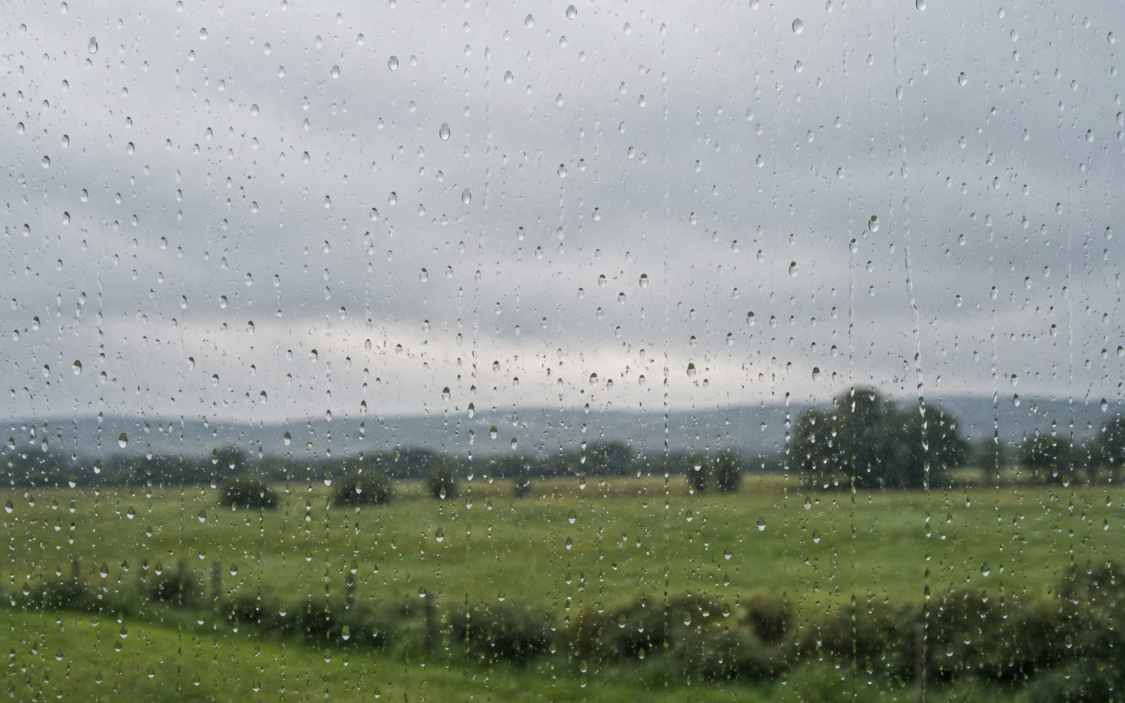 Rain beads on a window with a soft green field beyond.
